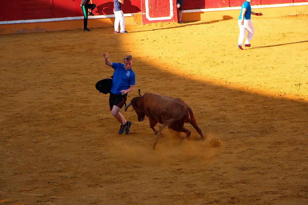Suelta-de-vaquillas-27-julio-18