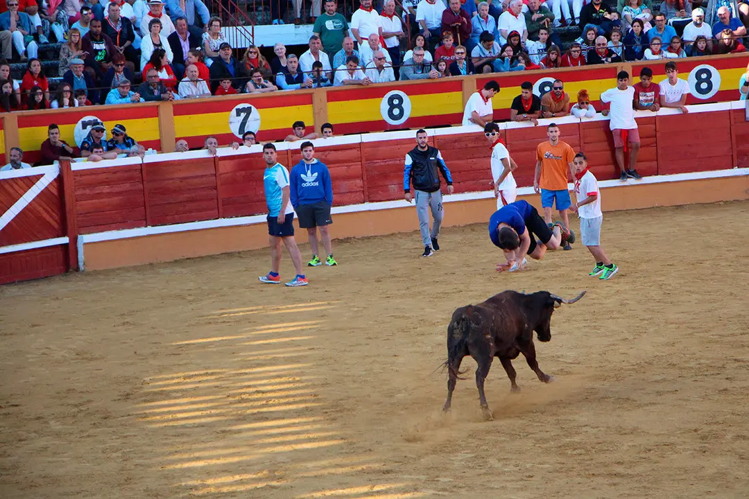 Suelta-de-vaquillas-27-julio-20