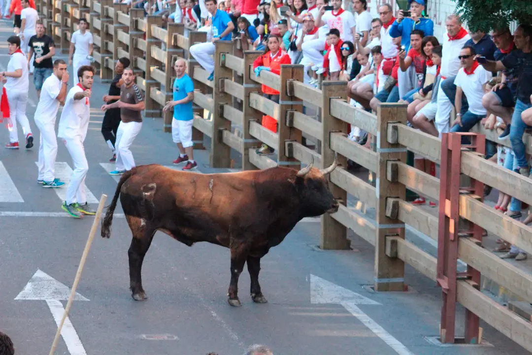IMG_6068