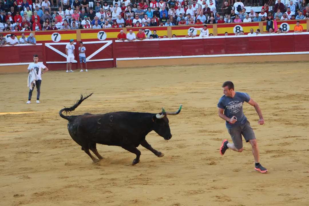 Suelta de vaquillas 28 julio 1
