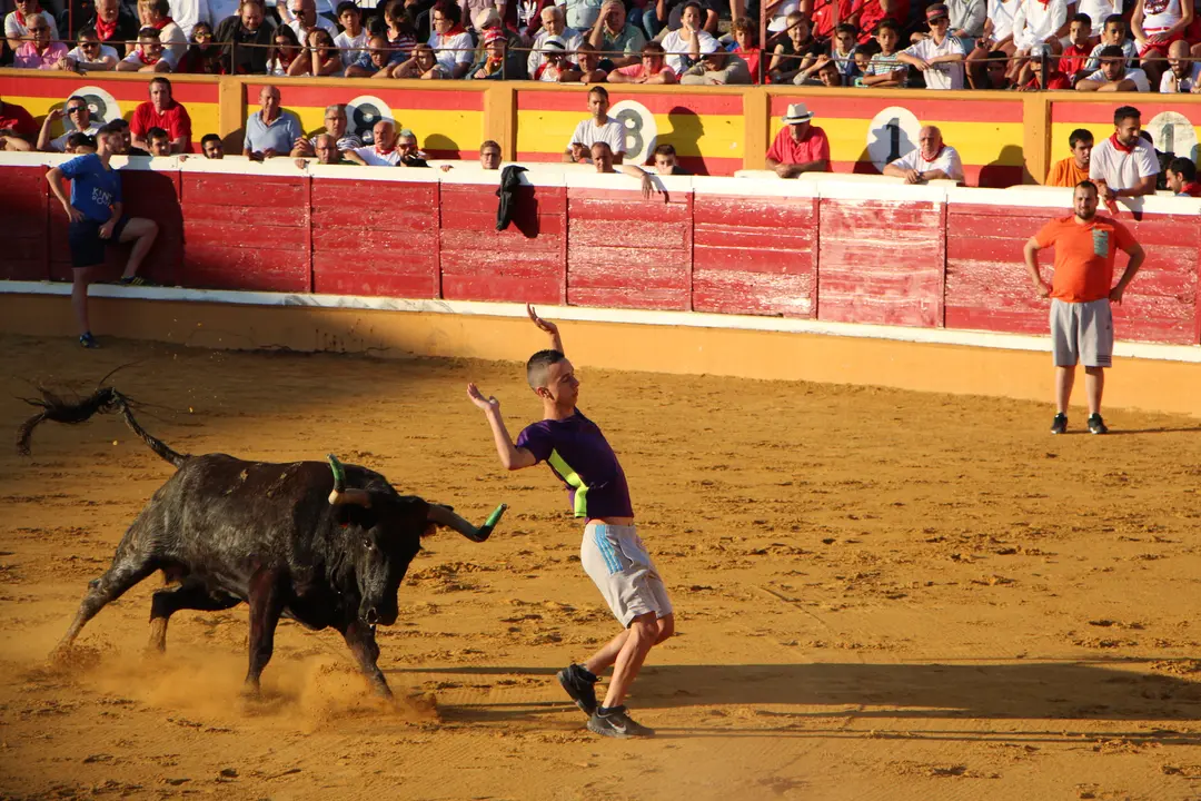 Suelta de vaquillas 28 julio 2