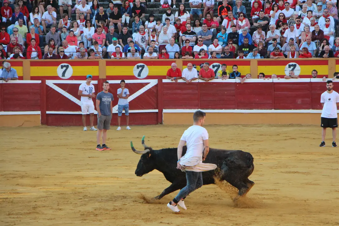 Suelta de vaquillas 28 julio 3