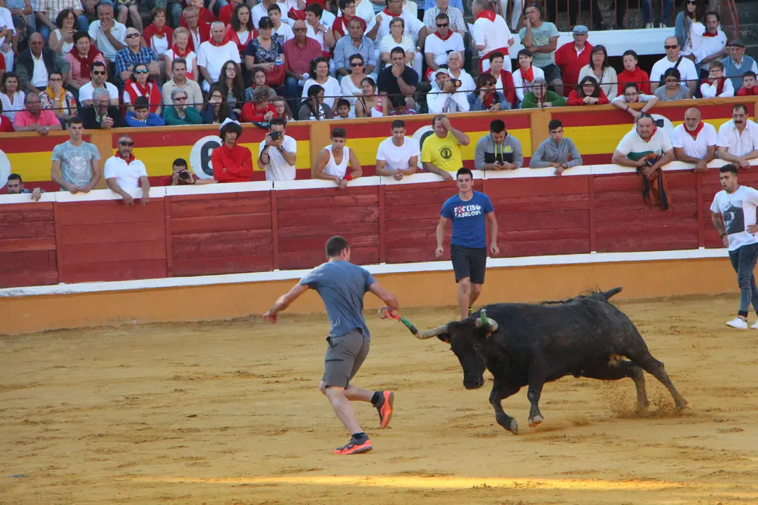 Suelta de vaquillas 28 julio 4