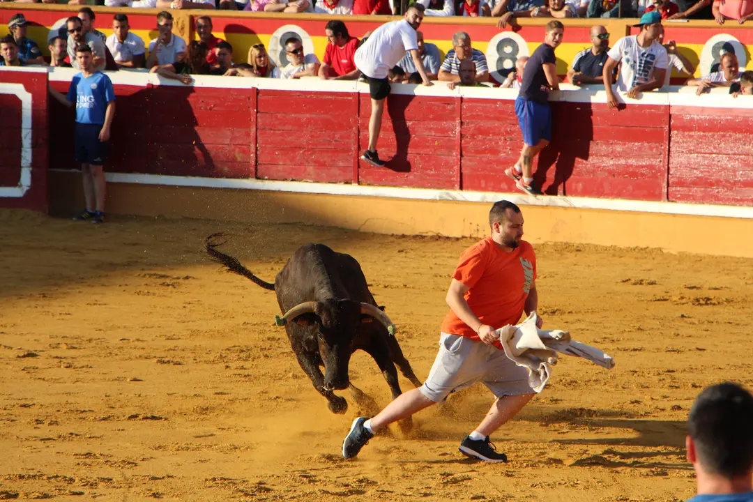 Suelta de vaquillas 28 julio 5