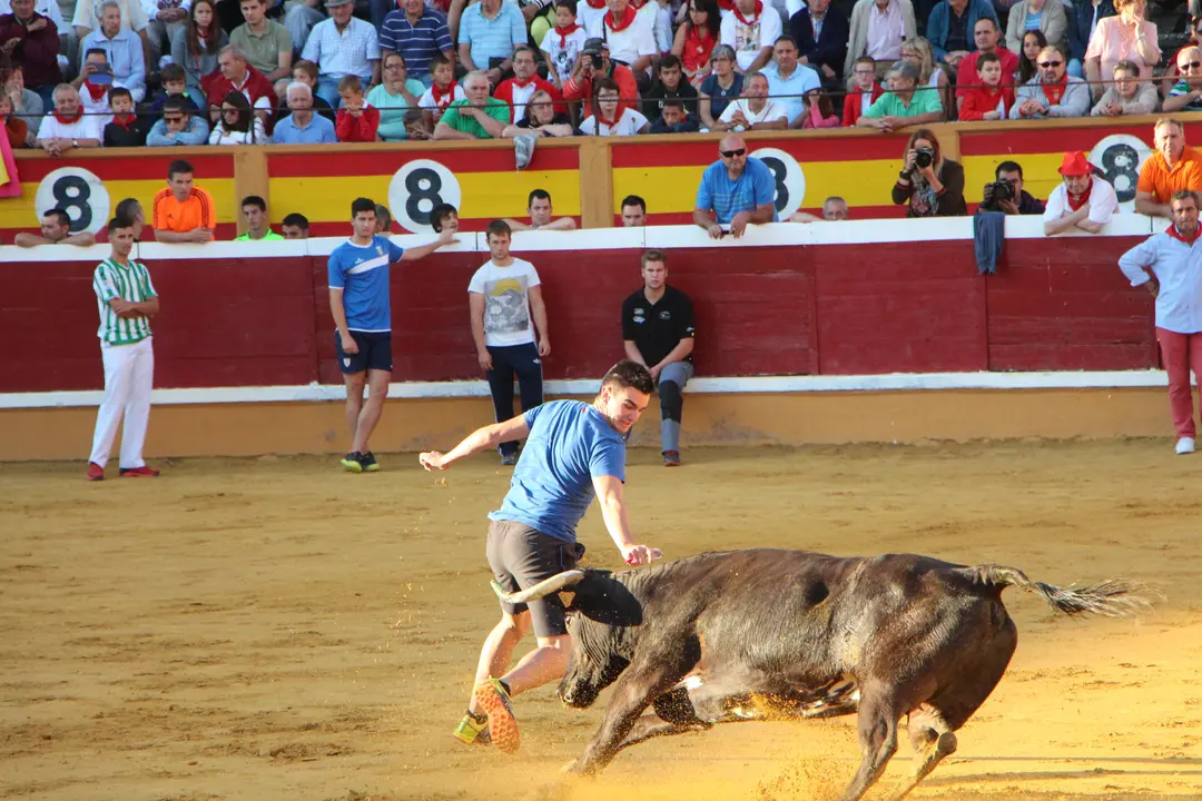 Suelta de vaquillas 28 julio 7