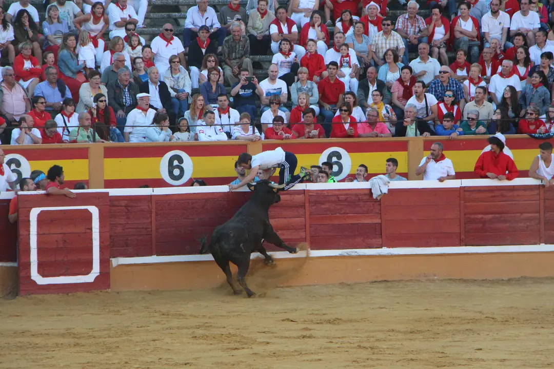 Suelta de vaquillas 28 julio 8