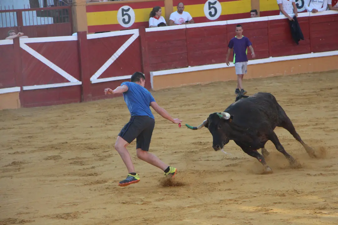 Suelta de vaquillas 28 julio 9