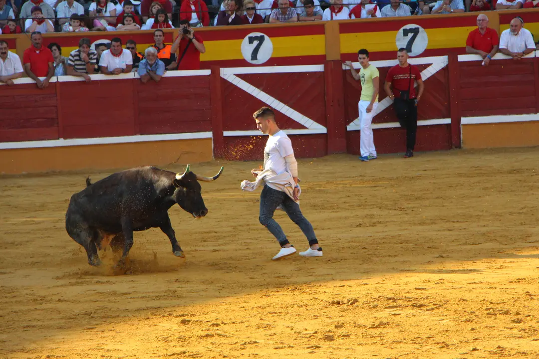Suelta de vaquillas 28 julio 10