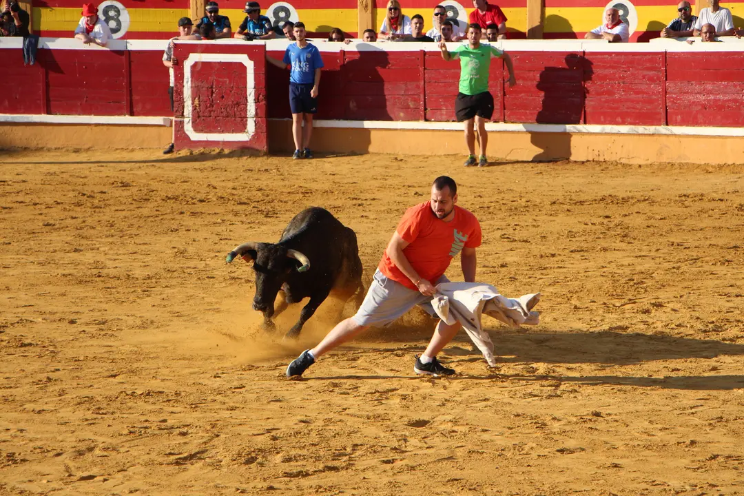 Suelta de vaquillas 28 julio 11