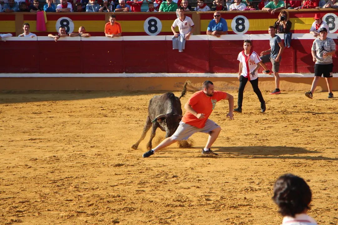Suelta de vaquillas 28 julio 13