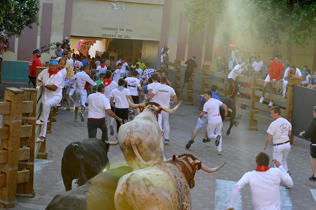 170729_SANTAANA3_57541