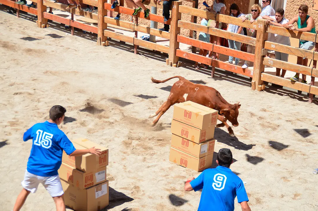 Fiestas-de-Barillas-2017---3