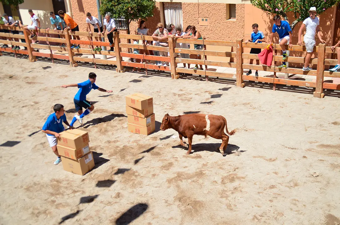 Fiestas-de-Barillas-2017---5