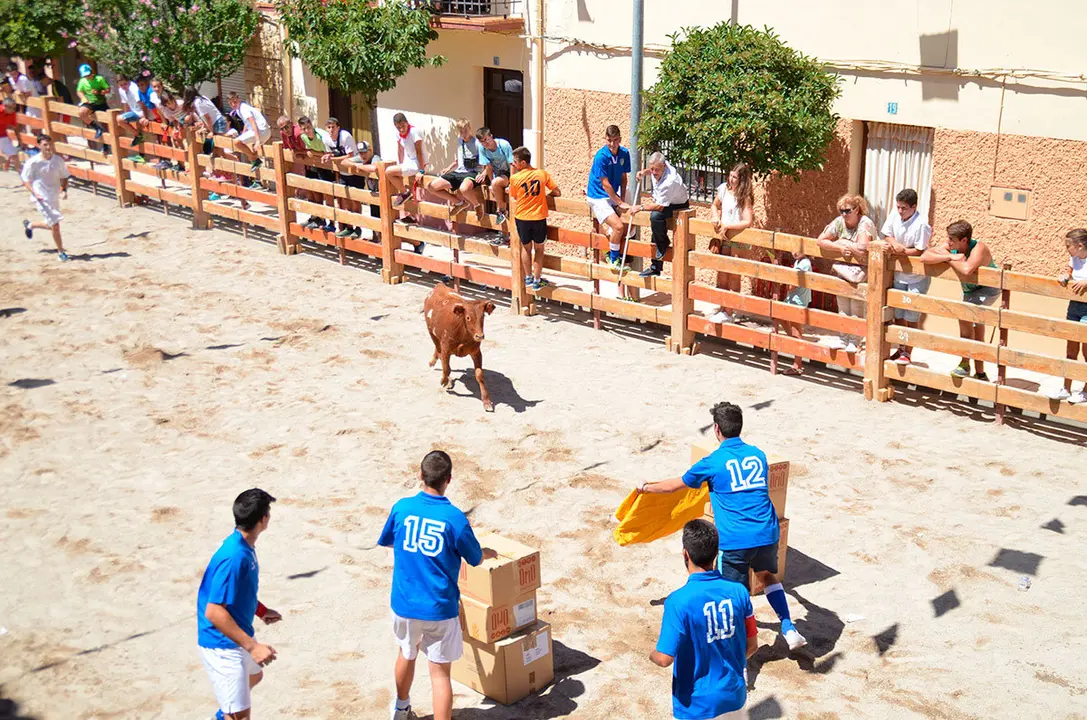 Fiestas-de-Barillas-2017---6