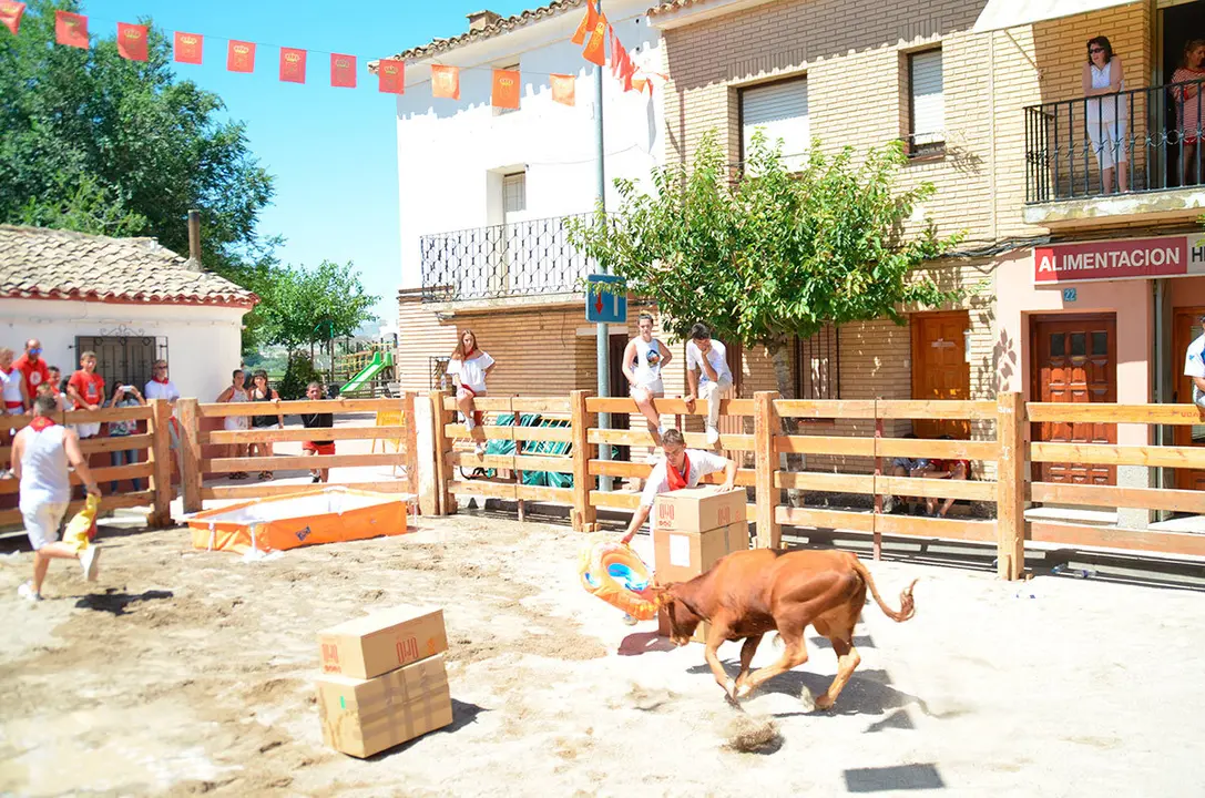 Fiestas-de-Barillas-2017---13