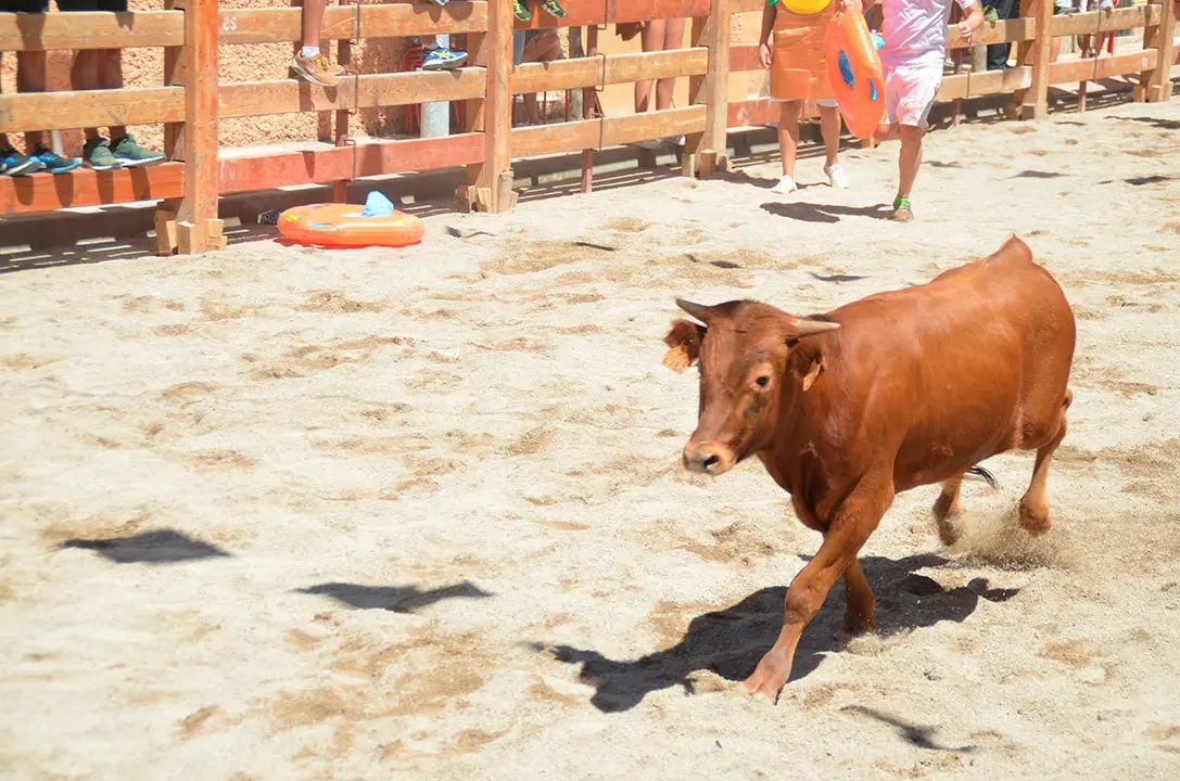Fiestas-de-Barillas-2017---14