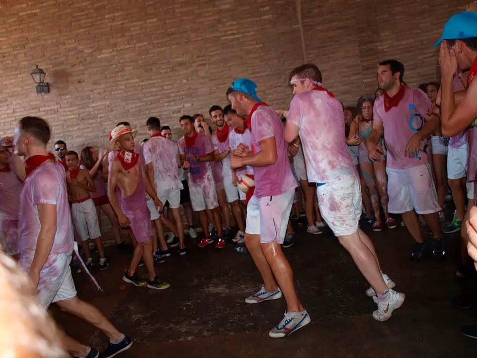 Fiestas de Arguedas 2017 - 16