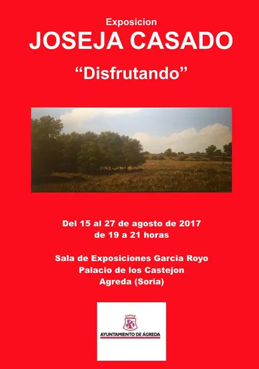 Exposici&oacute;n en &Aacute;greda de obras de Jos&eacute; Javier Casado Casado