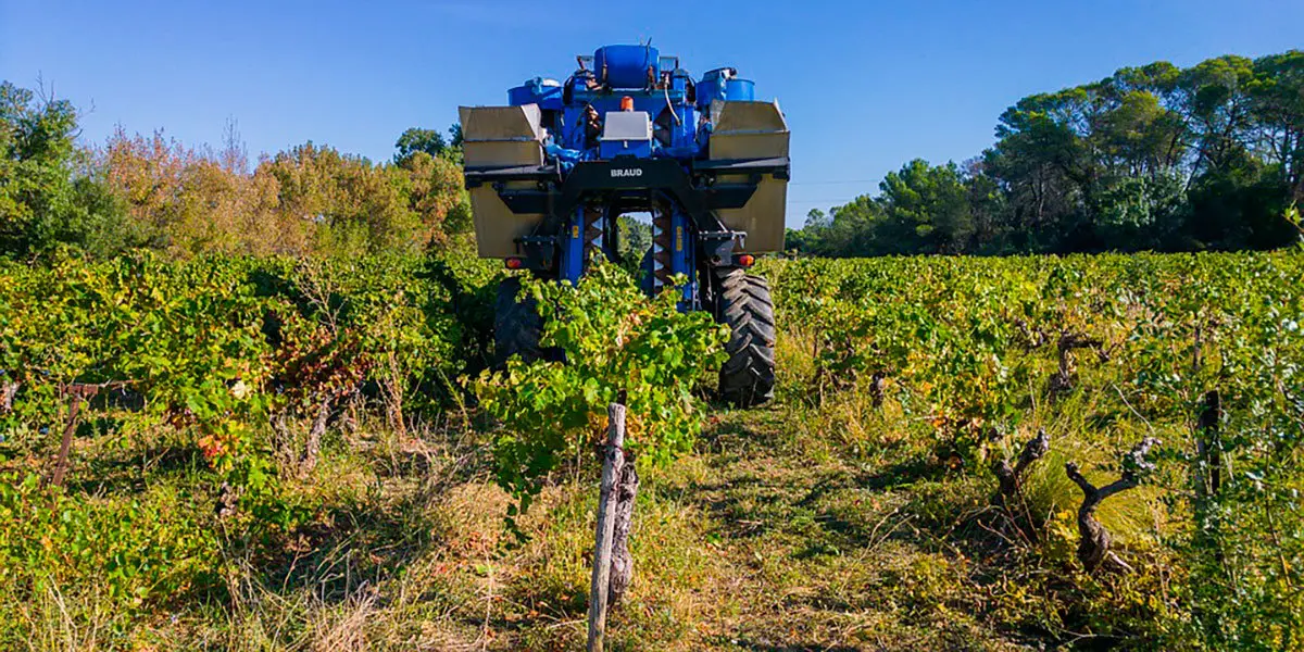 harvest-1682559_960_720