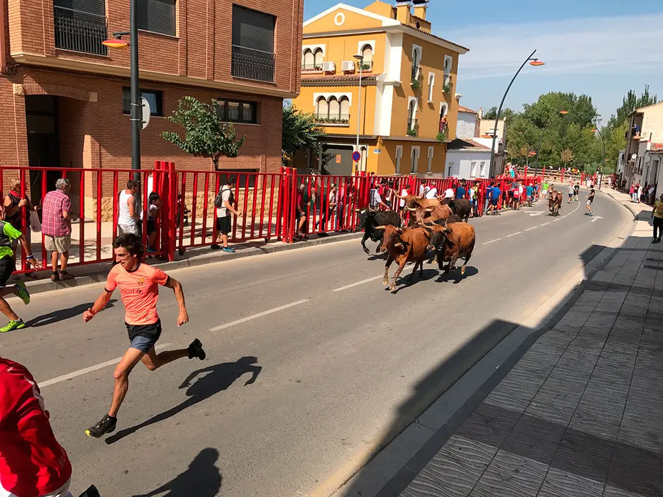 Fiestas de Alfaro 2