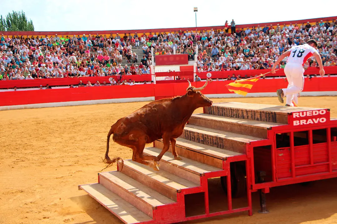Fiestas de Alfaro 15