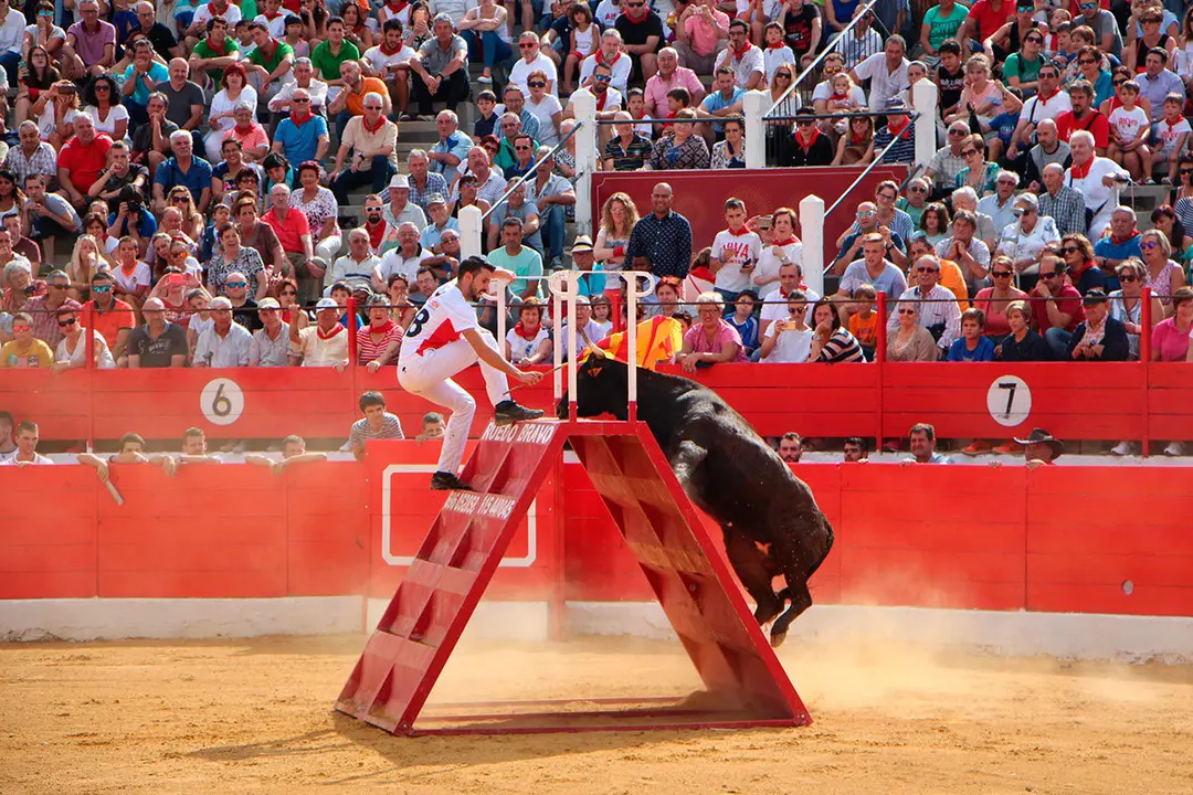 Fiestas de Alfaro 16