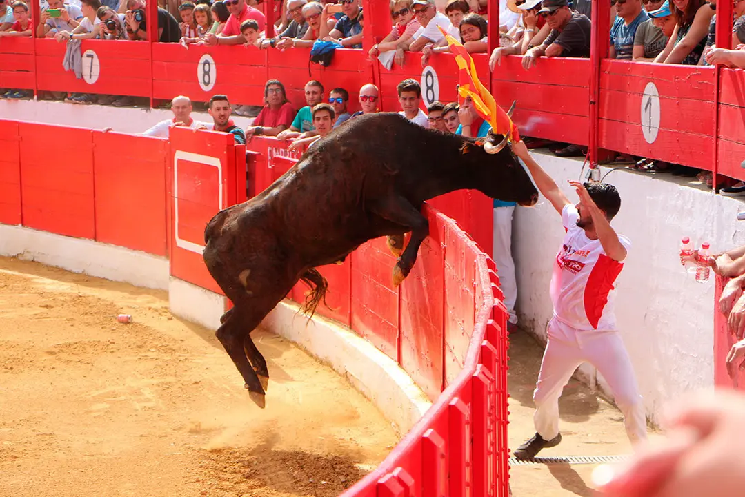 Fiestas de Alfaro 17