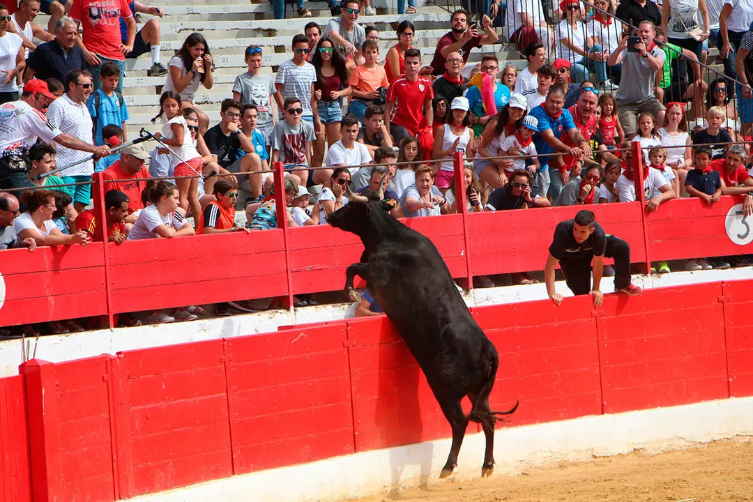 Fiestas de Alfaro 18