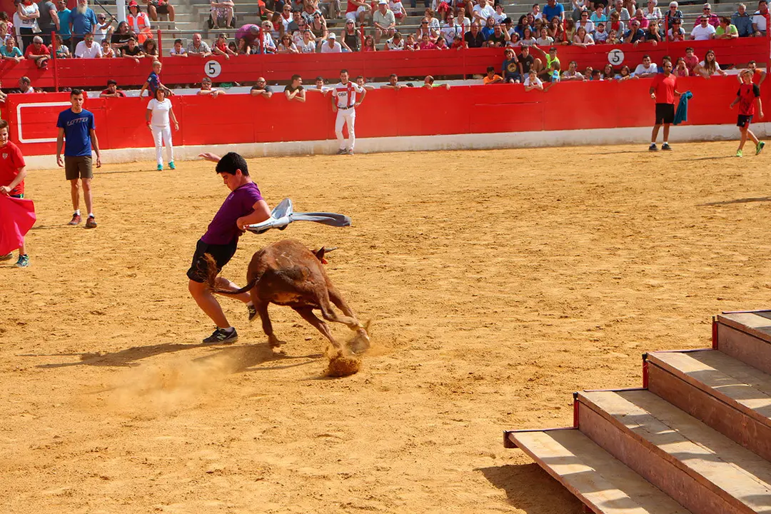 Fiestas de Alfaro 20