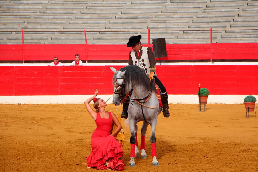 Fiestas de Alfaro 22