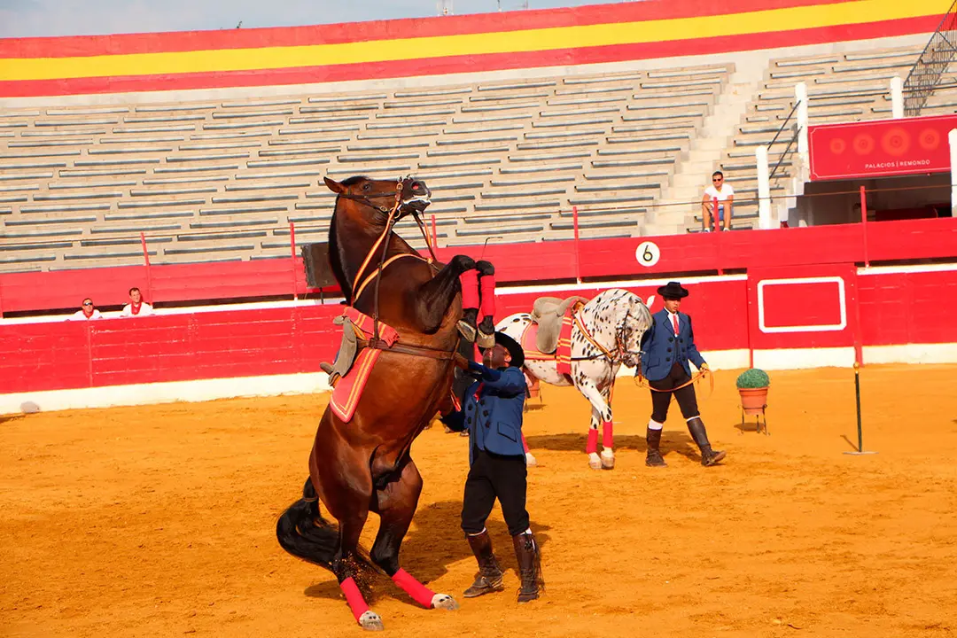 Fiestas de Alfaro 23
