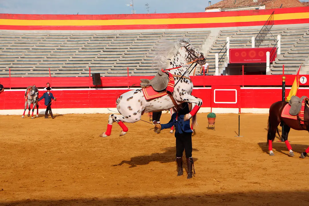 Fiestas de Alfaro 24