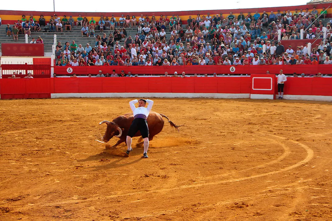 Fiestas de Alfaro 25