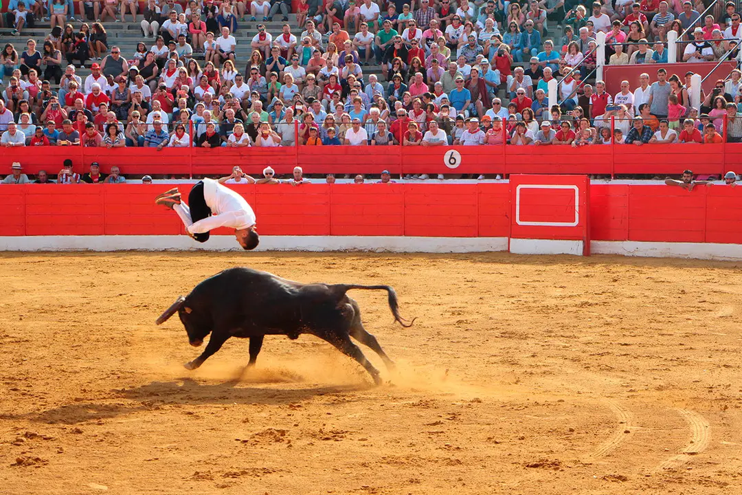 Fiestas de Alfaro 26