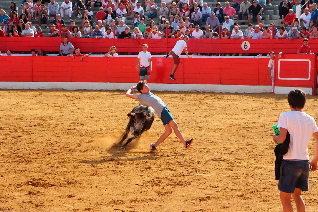Fiestas de Alfaro 27
