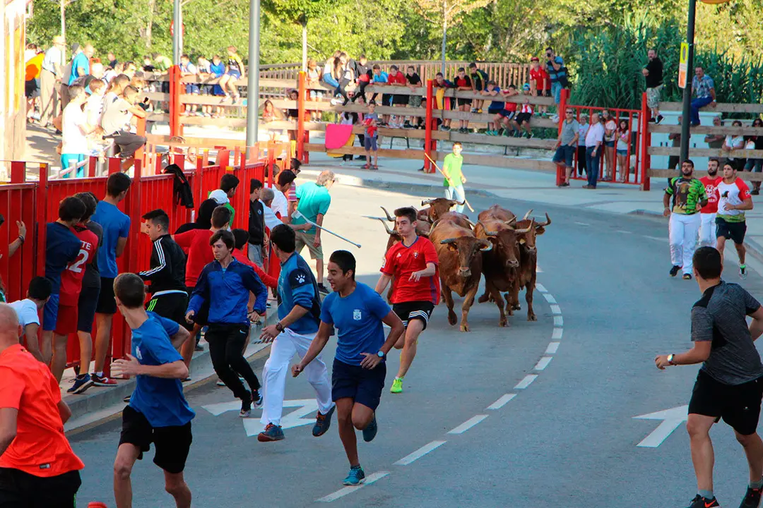 Fiestas de Alfaro 34