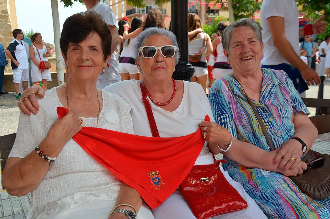 Fiestas de Marcilla 24