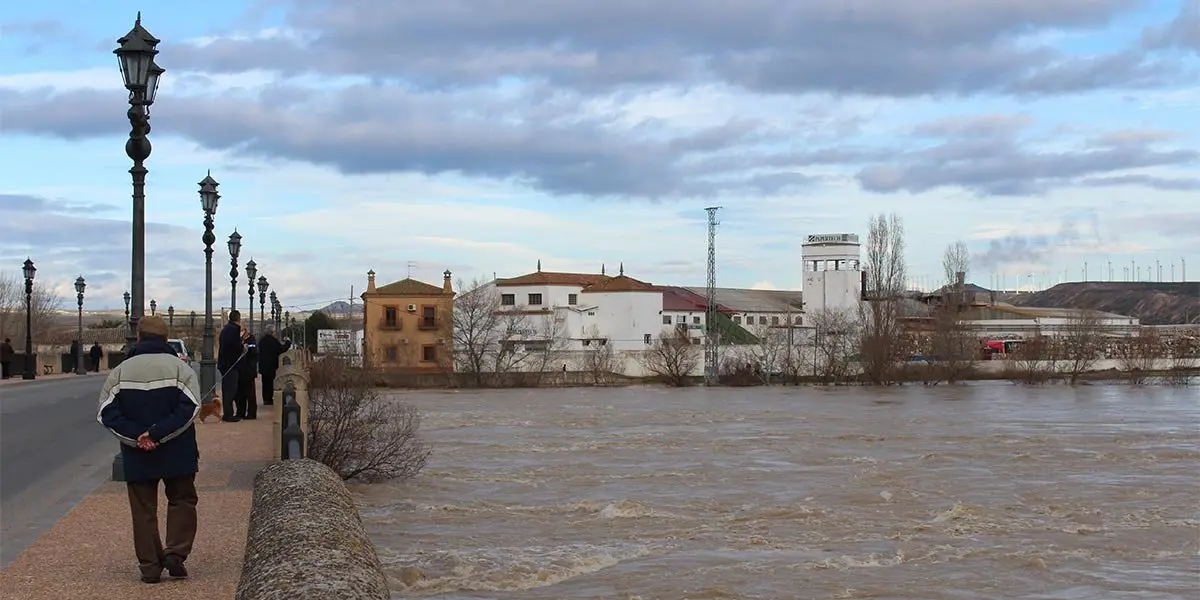 El Ebro, en &eacute;poca de crecida, muy diferente a su aspecto actual