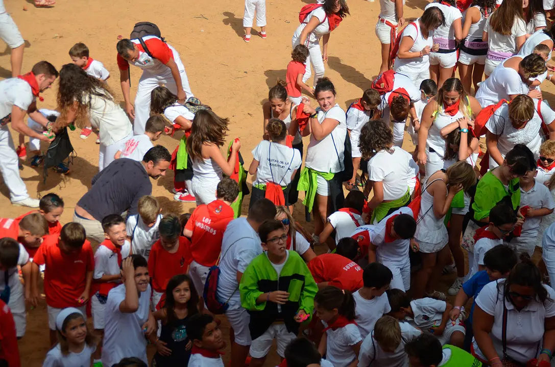 Fiestas de Caparroso 10