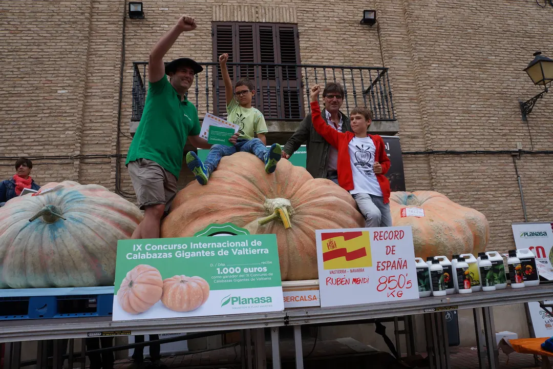 CALABAZAS 263