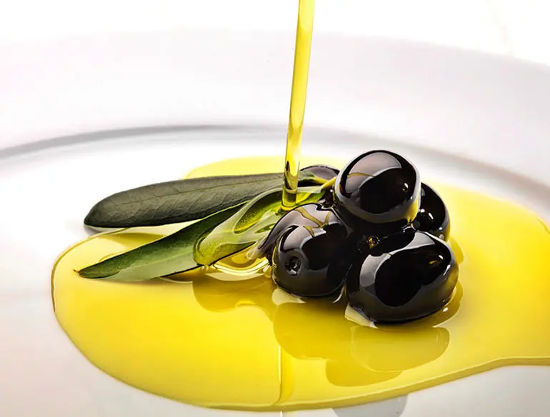 XVII Cap&iacute;tulo General de la Cofrad&iacute;a del Aceite de Oliva de Navarra en Cascante