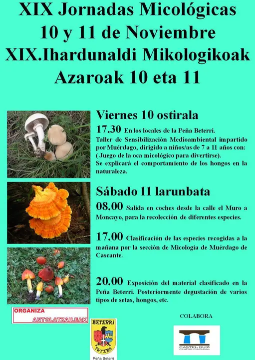 XIX Jornadas micol&oacute;gicas de la Pe&ntilde;a Beterri en Tudela