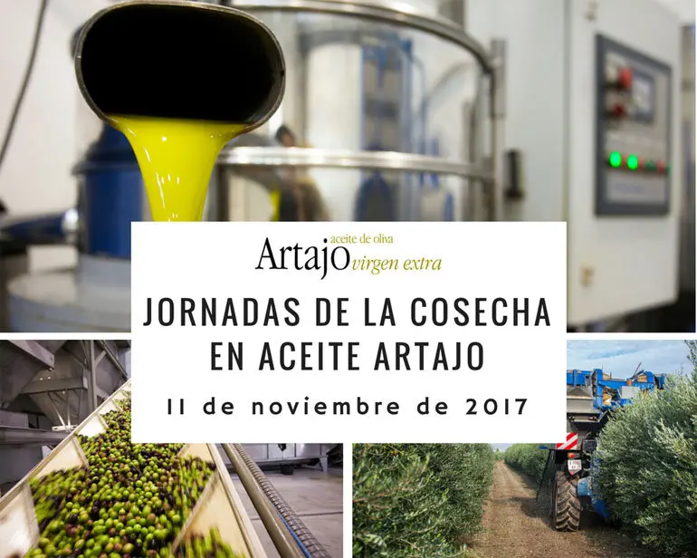 Jornadas de la Cosecha en Aceite Artajo