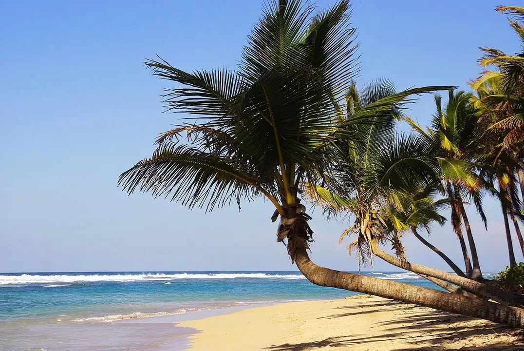 Punta Cana, un destino vacacional con mucho que ofrecer