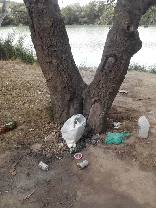5 Basuras a orillas del Ebro 1207