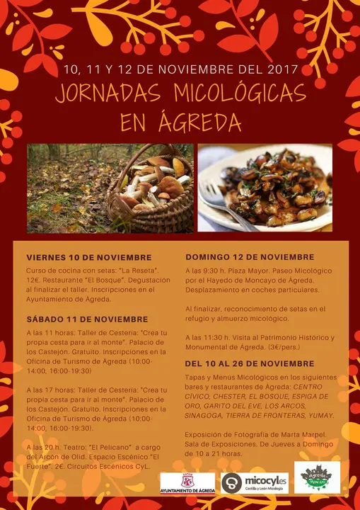 Jornadas Micol&oacute;gicas de &Aacute;greda y el Moncayo Soriano