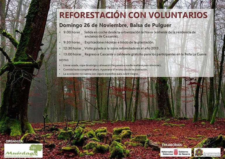 Reforestación con voluntarios en Cascante