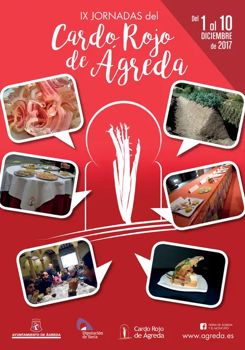 IX Jornadas del Cardo Rojo de &Aacute;greda