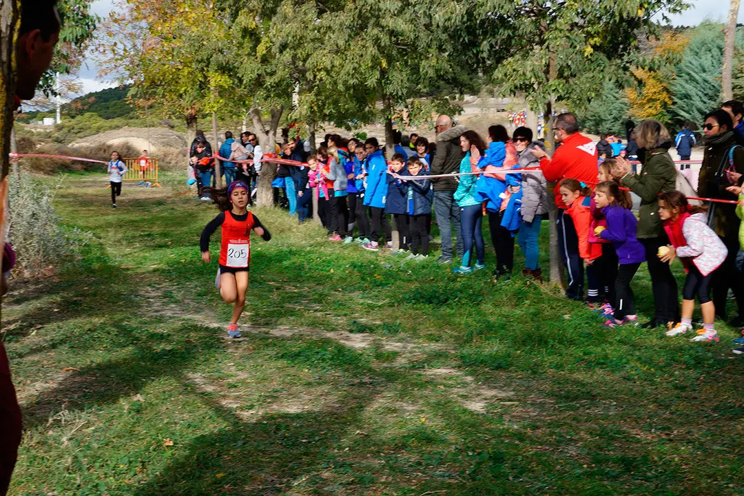 Cross en Valtierra 11