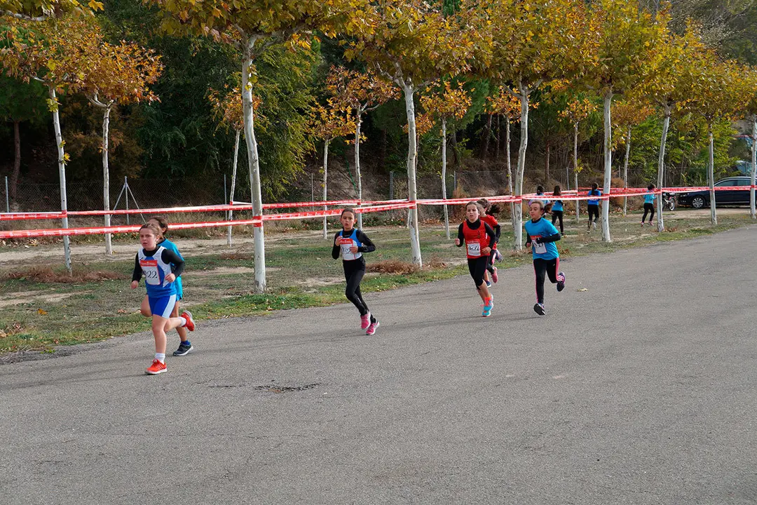 Cross en Valtierra 12